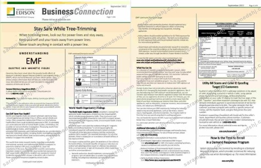 USA Southern California EDISON utility bill, Word and PDF template, 8 pages 7 8